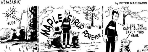 Maple Syrup Forever