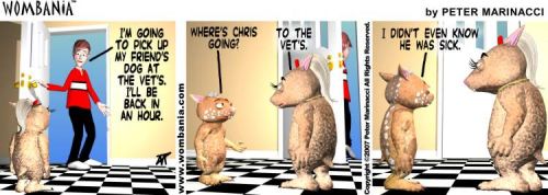 Vet Visit