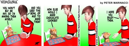 Mud Cookies