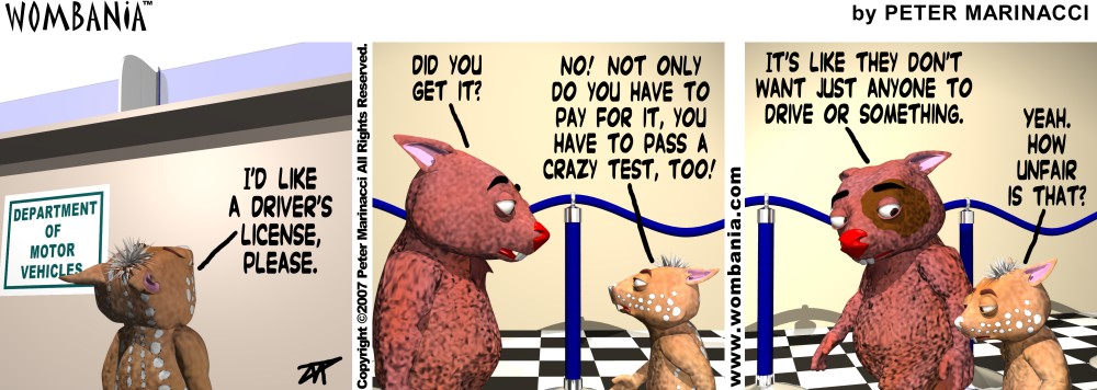 Driver's License Driver's License