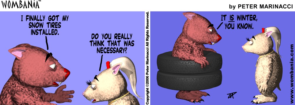 Snow Tires