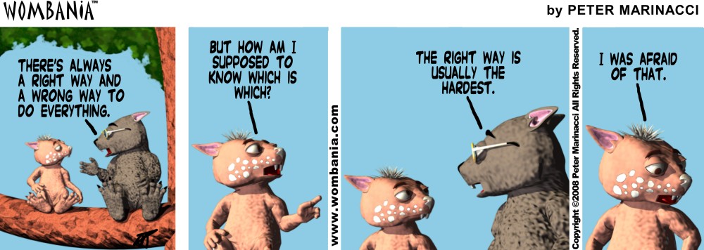 Right Way Wrong Way