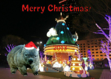 Merry Christmas Chewbacca 2013 by Chieko