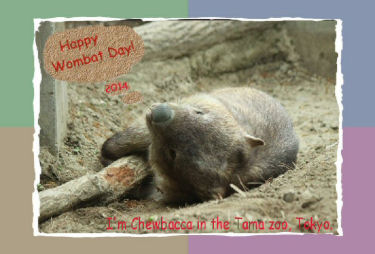 Wombat Day 2014 by Chieko