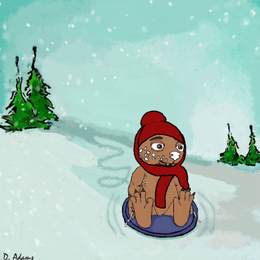 Fraz Snow Saucer