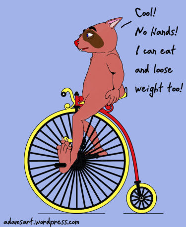 Winky's Bicycle by Debbie Adams