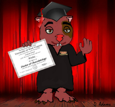Winky's Chocolatology Degree by Debbie Adams
