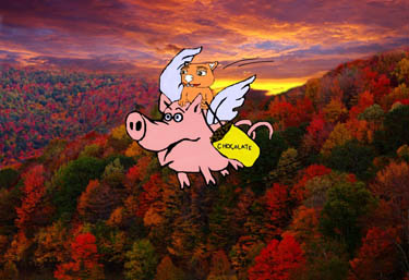 Wombat Day Fraz 2015 by Debbie Adams