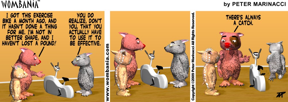 Exercise Bike Exercise