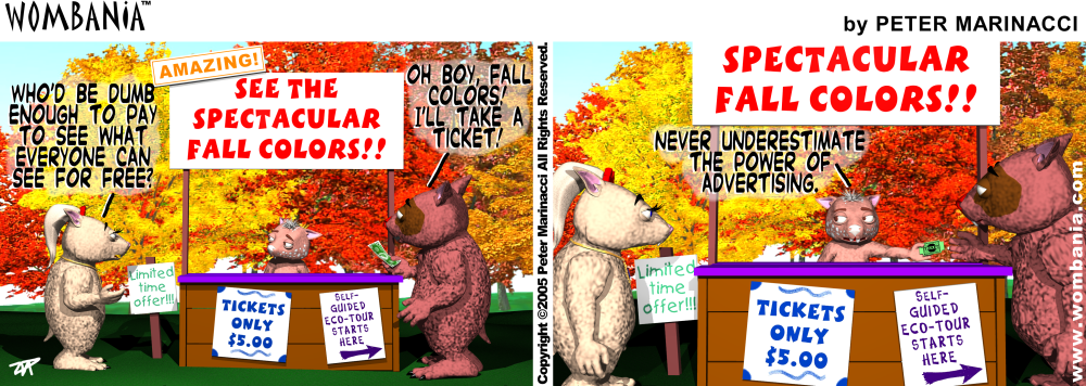 Autumn Eco Tour
