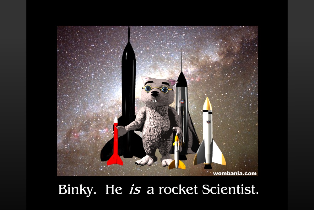 Rocket Scientist