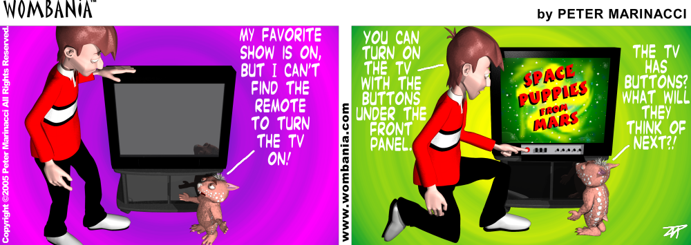 TV Remote