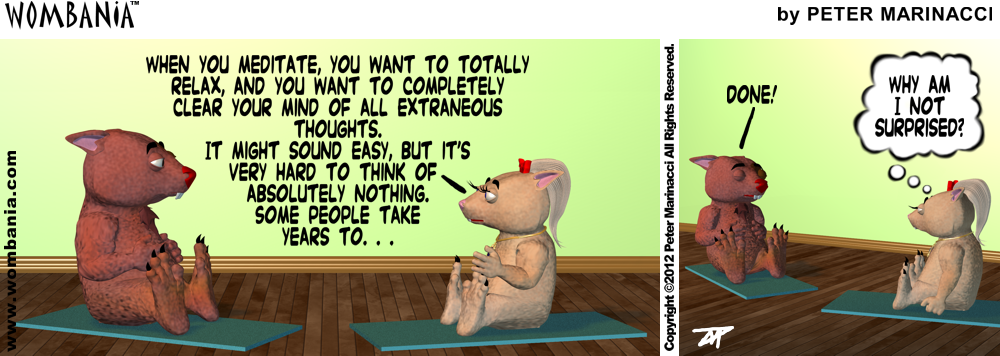 Meditation Wombie Style