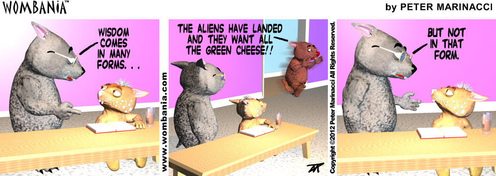 Wisdom Comes in Many Forms