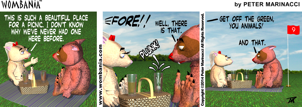 Picnic