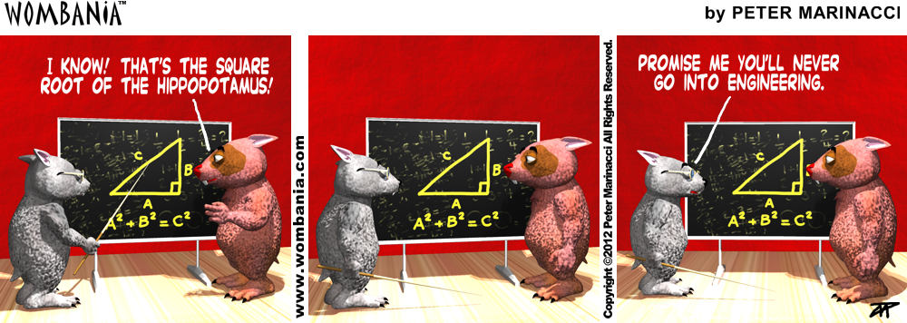 Hippo Math