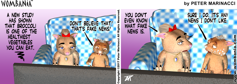 Fake News