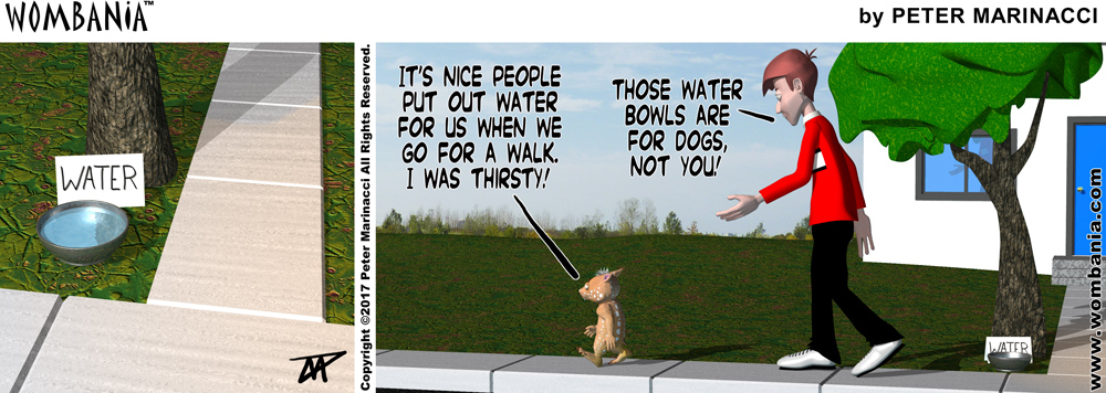 Doggy Water