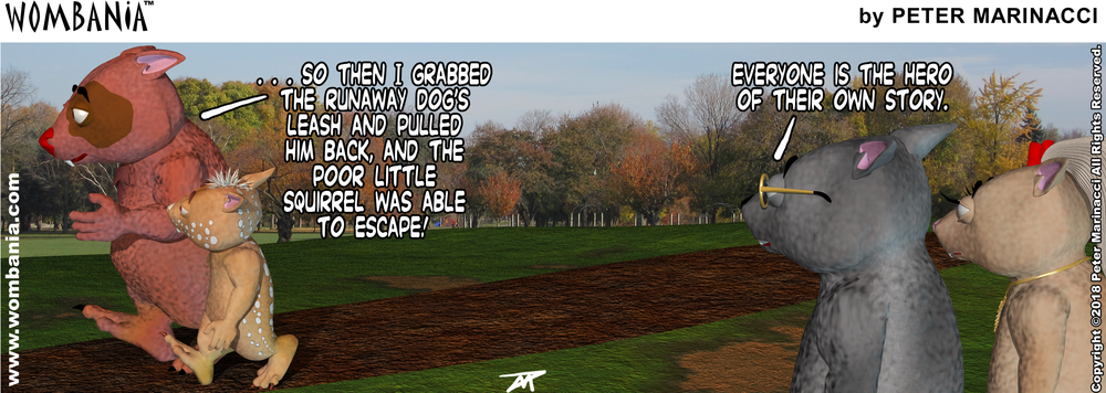 Hero of Your Own Story