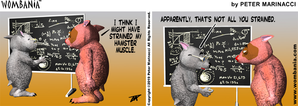Hamster Muscle