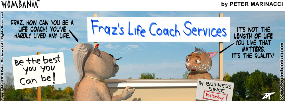 Life Coach