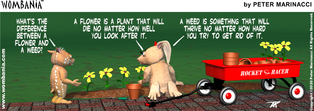 Flowers vs. Weeds