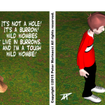 Hole in The Ground