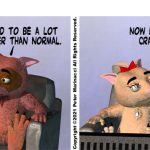 Normal Crazy
