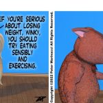 Sensible Diet