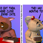 Expiry Date