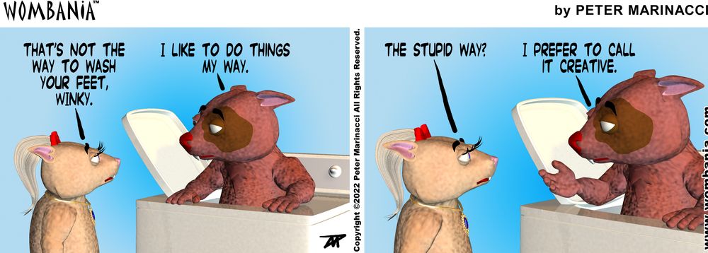 Foot Washer
