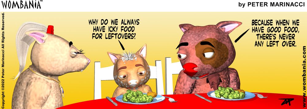 Leftovers