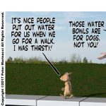 Water Bowl
